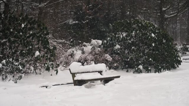 Footage of heavy snowfall in Hamburg City Park