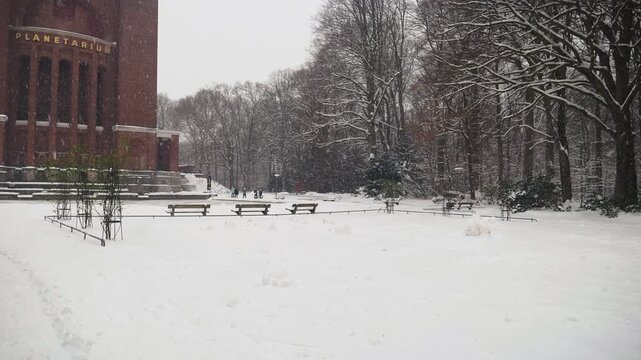 Footage of heavy snowfall in Hamburg City Park