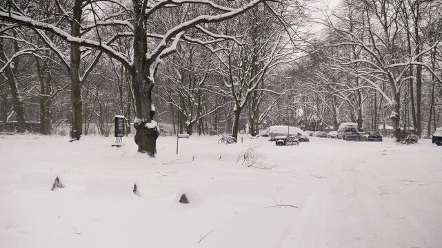 Footage of heavy snowfall in Hamburg City Park