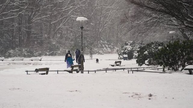 Footage of heavy snowfall in Hamburg City Park