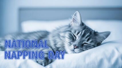 Celebrate national napping day with a cozy cat enjoying a peaceful slumber on a soft bed