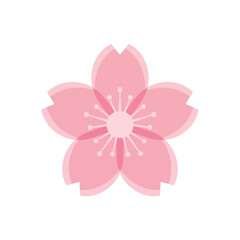 Sakura Flower Front View