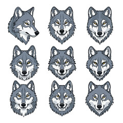 Fototapeta premium Collection of gray wolf head profiles and front views