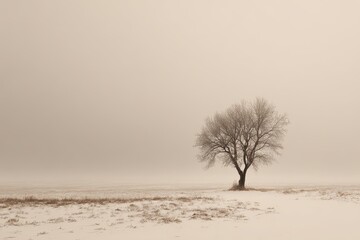 Solitary bare tree stands in a misty, snow-covered field under a pale sky
