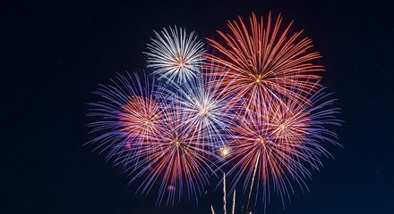 Obraz premium Spectacular Vibrant Fireworks Display Lighting Up the Night Sky with Colorful Explosions and Sparkling Patterns