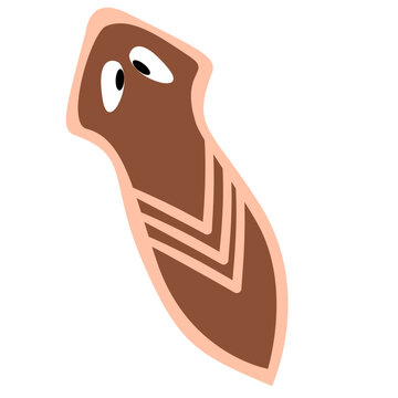 Planarian Flatworm Illustration