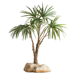 Obraz premium Front view of an Egyptian papyrus plant sculpture studio shot, isolated on a white transparent background