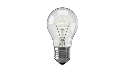 Clear Incandescent Light Bulb