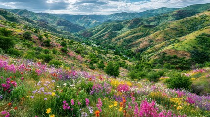 Vibrant Wildflower Meadow Blossoming on Green Hills Under a Partly Cloudy Sky In Lush Rural Landscape Scenic View