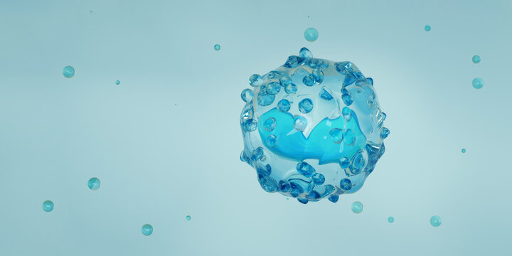 White Blood Cells, Basophil Illustration