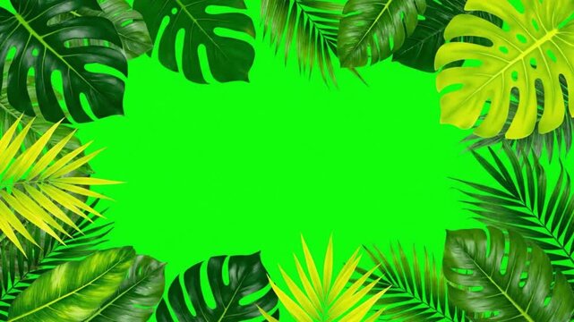 Tropical green screen with palm and monstera leaves