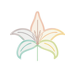 Stylized Pastel Multicolor Lily Flower Vector Illustration with Outline