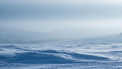 Snowy Landscape with Rolling Dunes and Foggy Sky in Winter Scene