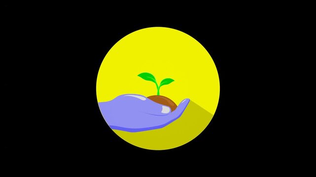 animation with the concept of a sprout in the hand to warn of the importance of reforestation