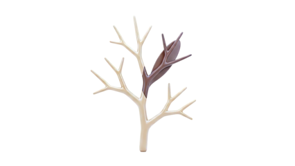 Abstract Tree Branch Sculpture