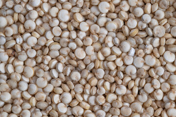 Allergyfriendly recipes incorporate white quinoa as core ingredient, White quinoa seeds serve as glutenfree foundation for diverse culinary creations and meal plans