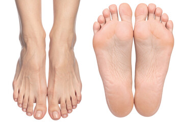 Set of human feet isolated object