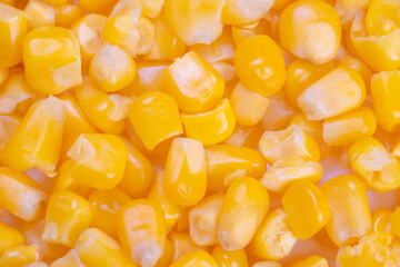 Close up fresh sweet corn kernels for cooking and recipes, readytouse ingredient for stews,...