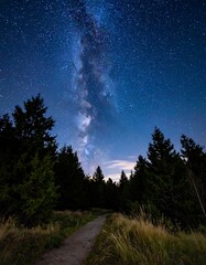 Night path through forest to star-filled sky, Milky Way visible