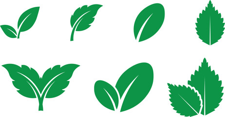 Collection of various green leaves on white background