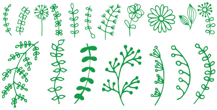 Collection of hand drawn green botanical elements featuring various stylized leaves vines flowers and dandelion seed heads for natural design projects