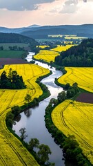 Winding river through bright yellow fields, framed by trees and distant hills under an overcast sky