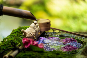 Fototapete bei efototapeten.de bestellen   