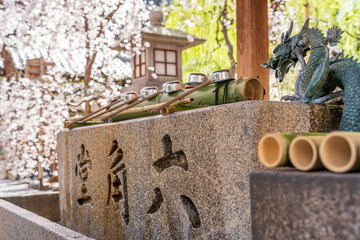 A traditional chozuya, a water purification basin with a dragon spout, at Rokkakudo Temple under...
