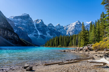 Banff National Park Moraine Lake turquoise water and Valley of the Ten Peaks with driftwood. Alberta, Canada
