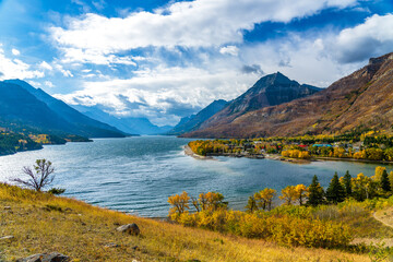 Upper Waterton Lake lakeshore in autumn foliage season sunny day morning. Blue sky, white clouds over mountains in the background. Landmarks in Waterton Lakes National Park, Alberta, Canada.
