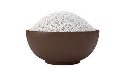 Bowl of white rice