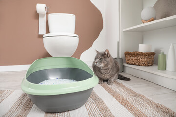 Adorable cat near litter box in restroom