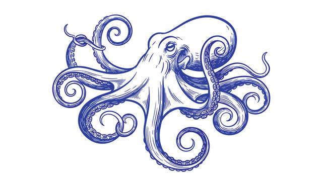 Detailed vintage-style illustration of a large octopus with curling tentacles, rendered in a blue engraving or sketch style.