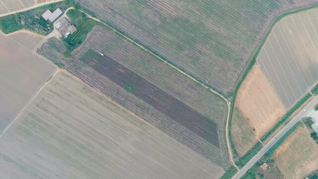 Ginosa, Italy. Harvesting a field with a combine harvester in the light of the evening sun. Drone footage, HEAD OVER SHOT
