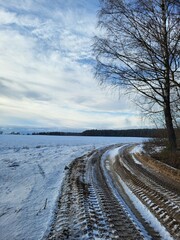 Snowy Dirt Road Along Winter Field