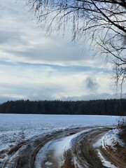 Winter Field with Forest on Horizon