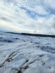 Minimal Snow Covered Field Texture