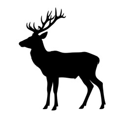 Obraz premium Silhouette of a stag with large antlers, standing, facing left