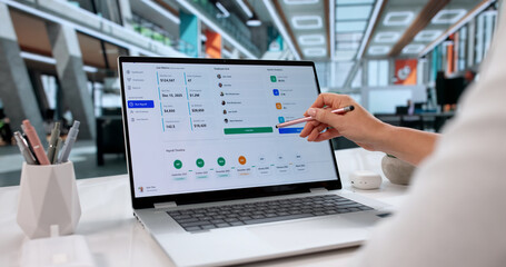 Female Accountant Using Accounting Software