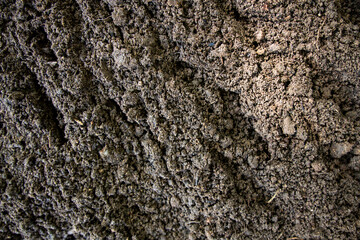 Fototapeta premium Soil texture with green nature bokeh background. Soil surface. Ground for farm. Soil and humus texture. Closeup of dirt and clay in farm field. Soil for planting. Cultivated land.