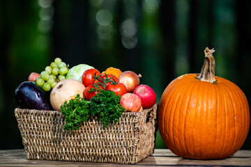 Fresh raw vegetables and fruits. Fresh vegetable selection in green farm. Harvested fruits and...