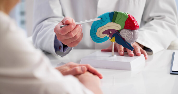Neurologist Doctor Holds Brain Model, Explains Diagnosis