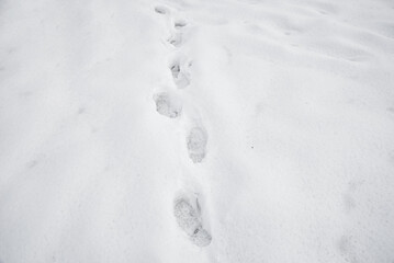 Track of boots or shoes in the snow. Footprints in the snow. Texture of snow surface. 