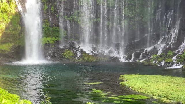 富士山の伏流水、恵みの白糸ノ滝 