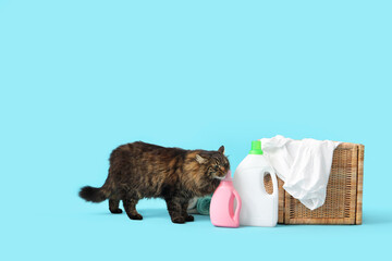 Cute cat with bottles of detergent and laundry basket on blue background