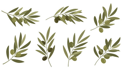 Obraz premium Collection of Olive Branches with Green Olives and Leaves, Isolated on White