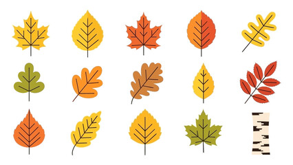 Obraz premium Vibrant Autumn Leaves Collection with Birch Bark Texture - Seasonal Fall Elements