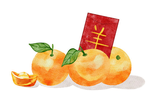A set of mandarin orange with red envelop. Watercolor Chinese new year decoration.