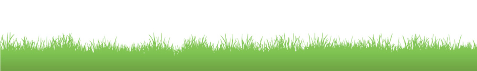 Fototapeta premium Seamless grass silhouette, meadow panorama on white background, lawn border, isolated graphic element