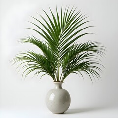 Obraz premium Isolated palm leaf in a vase on white